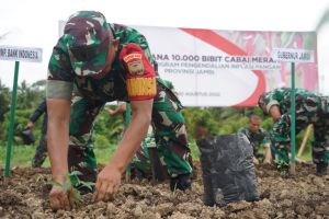 Korem 042/Gapu Tanam Perdana 10.000 Bibit Cabai Merah, Upaya Kendalikan Inflasi di Jambi