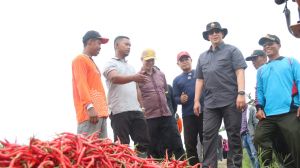 Minta Pemda Pantau Kondisi Inflasi, Kapolda Sambangi Petani Cabai di Muaro Jambi