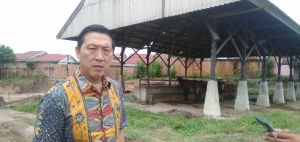 Anggota Komisi IV DPRD Sidak ke Lokasi Pembangunan SMAN 12 Jambi, Kok Masih Ada Sapi ?