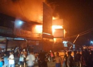 Lagi, Sijago Merah Ngamuk di Kualatungkal 