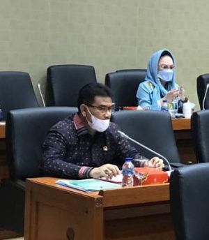 SAH Minta BPOM Perkuat Koordinasi Lintas Sektor Pengawasan Obat, Makanan dan Kosmetik