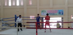 Datangkan Wasit Nasional, 14 Partai Tinju Amatir Jambi Melaju ke Semifinal 