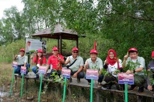 Lestarikan Habitat Bekantan, Yayasan AHM Tanam Seribu Mangrove Rambai 