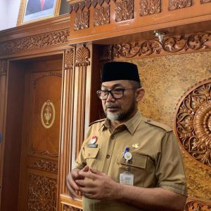 Pemprov Minta DP3AP2 Buat Langkah Kongkrit Atasi Kekerasan Ibu dan Anak di Jambi