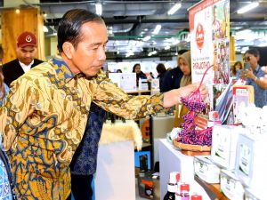 Presiden: Hilirisasi Langkah Penting Indonesia Jadi Negara Maju 2045