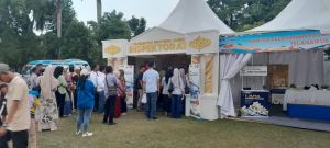 Besok Senam Bersama, Hajar Serangan Fajar di Kantor Gubernur Digelar, Inspektorat: Silahkan Datang