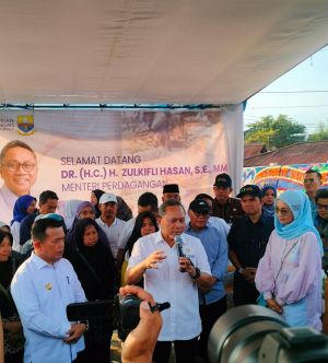 Mendag RI Ungkap Langkah Strategi Pemerintah Hadapi Lonjakan Harga Beras