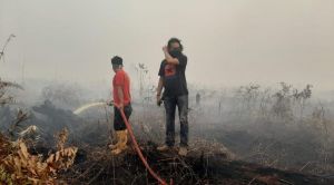 335 Hektare Lahan di Jambi Terbakar, Paling Luas di Batanghari