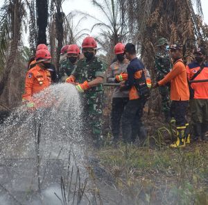 2.246 Titik Hotspot Terpantau di Jambi, Terbanyak di Tanjung Jabung Barat