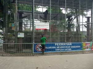 Jaga Kesehatan Hewan Pada Saat Kabut Asap, Kebun Binatang di Jambi Berikan Vitamin untuk Satwa