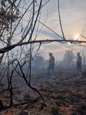 Belasan Tersangka Kasus Kebakaran Hutan dan Lahan di Jambi Diamankan