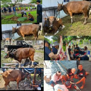 BerHARap Ridho Allah, H Abdul Rahman Berkurban di Sejumlah Tempat Ini