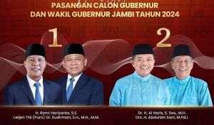 Paslon Haris-Sani Unggul Sementara Versi LSI Denny JA 