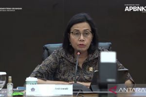 Menkeu minta serapan tenaga kerja RI ditingkatkan di IsDB
