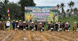Kapolda- Gubernur Jambi Tanam Jagung Dukung Terwujudnya Swasembada Pagan 2025