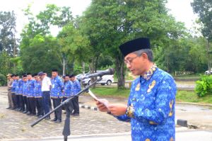 Wabup Jun Mahir Irup HKN TA 2025 Lingkup ASN Pemkab Muaro Jambi