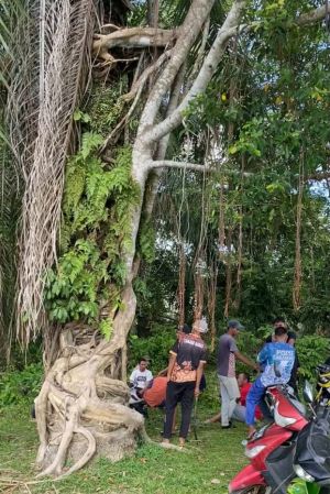 Goro Serentak Walikota Jambi Disambut Antusias Warga Penyengat Rendah 