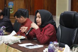 Jangan Sampai Diklaim Pihak Lain, Kemenkum Dorong Potensi Budaya Sarolangun Segera Dilindungi 
