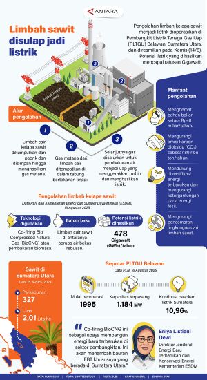 INFOGRAFIS: Limbah sawit disulap jadi listrik