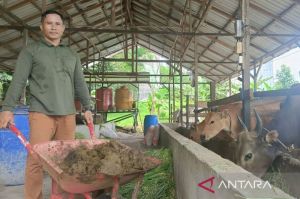 Samboja manfaatkan energi terbarukan dari kotoran sapi