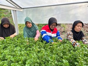 Pertamina Patra Niaga Sulap Keterbatasan Air Bersih - Tumpukan Sampah Jadi Nilai Ekonomi