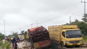 Dewan Dukung Pemprov Jambi Perketat Pengawasan Angkutan Kelapa Sawit yang Overload