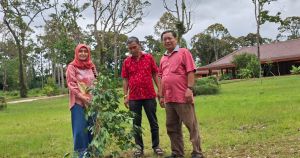 PDI-P Jambi Tanam Pohon di KCBN Muaro Jambi, Perkuat Komitmen Politik Lingkungan