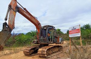 Penertiban Tambang dan Sawit Ilegal Diproyeksikan Tambah Rp142 Triliun Penerimaan Negara