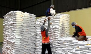 Serap 4 Juta Ton, Pemerintah Perkuat Fondasi Swasembada Pangan Berkelanjutan