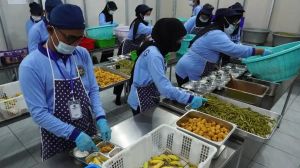 Program MBG Libatkan Petani Lokal, Ekonomi Daerah Ikut Bergerak