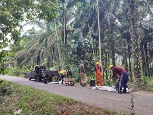 Warga Batang Hari Boleh Bernapas Lega! Jalan Rusak 15 KM Akhirnya di Aspal