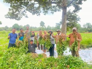 SAH Serukan Gerakan Sadaqah Tani Jadi Solusi Kesejahteraan dan Ketahanan Pangan di Jambi