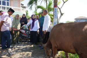Isteri Gubernur Jambi Kembali Serahkan 3 Ekor Hewan Kurban di Desa Tangkit dan Kasang 