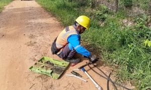 Kabel PLN 50 Meter di Muaro Jambi Digondol Maling, Warga Resah Puluhan Rumah Padam Total