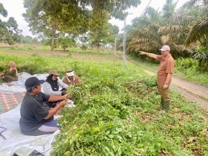 Era Prabowo, SAH Sebut Kesejahteraan Petani Mulai Menguat