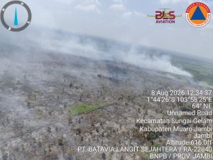 Puncak Kemarau Agustus 2026: BMKG Deteksi Ribuan Hotspot dan Kabut Asap di Jambi