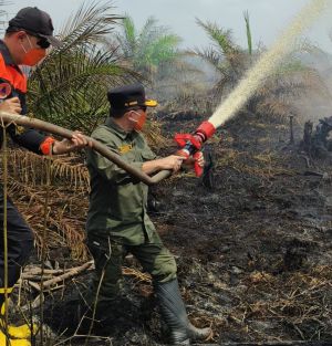Gubernur Al Haris: Api Sudah 3 Hari, Gambut Sulit Dipadamkan