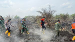Kapolda Jambi Pastikan Penanganan Karhutla di Sungai Gelam Terus Dilakukan