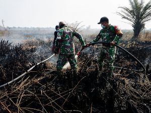 TNI-Polri Bersama Tim Gabungan Perkuat Penanganan Karhutla di Londrang
