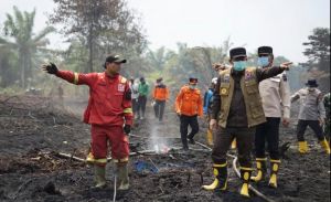 Kualitas Udara Muaro Jambi Memburuk, Nilai ISPU Sentuh Angka 200 Kategori Tidak Sehat