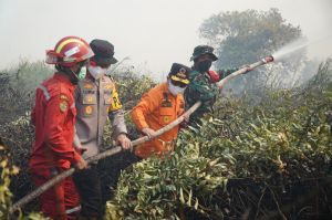Danrem 042/Gapu Turun ke Lokasi Padamkan Karhutla di Tanjabtim