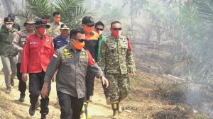 Karhutla di Tahura Batang Hari Kembali Jadi Perhatian, Kasiops Korem/042 Gapu - Gubernur ke Lokasi