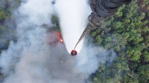 Kualitas Udara Sangat Tidak Sehat : Wali Kota Jambi Perpanjang PPJ hingga 9 September